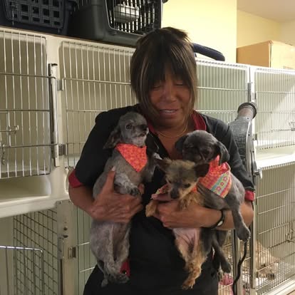 Kimie holding two freshly groomed dogs